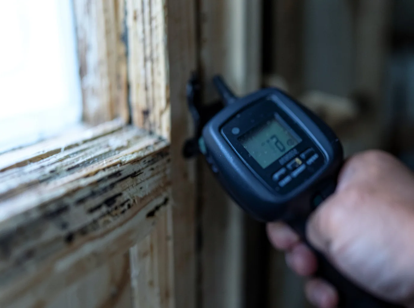 Commercial Water Damage Restoration in East New Market, MD